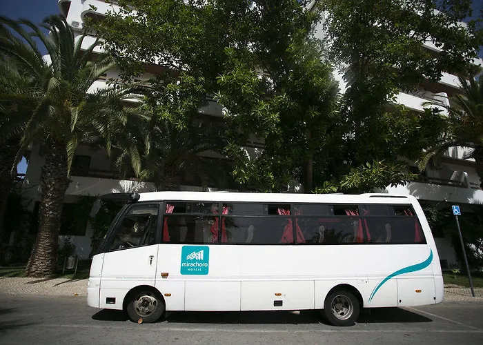 Mirachoro 波尔蒂芒